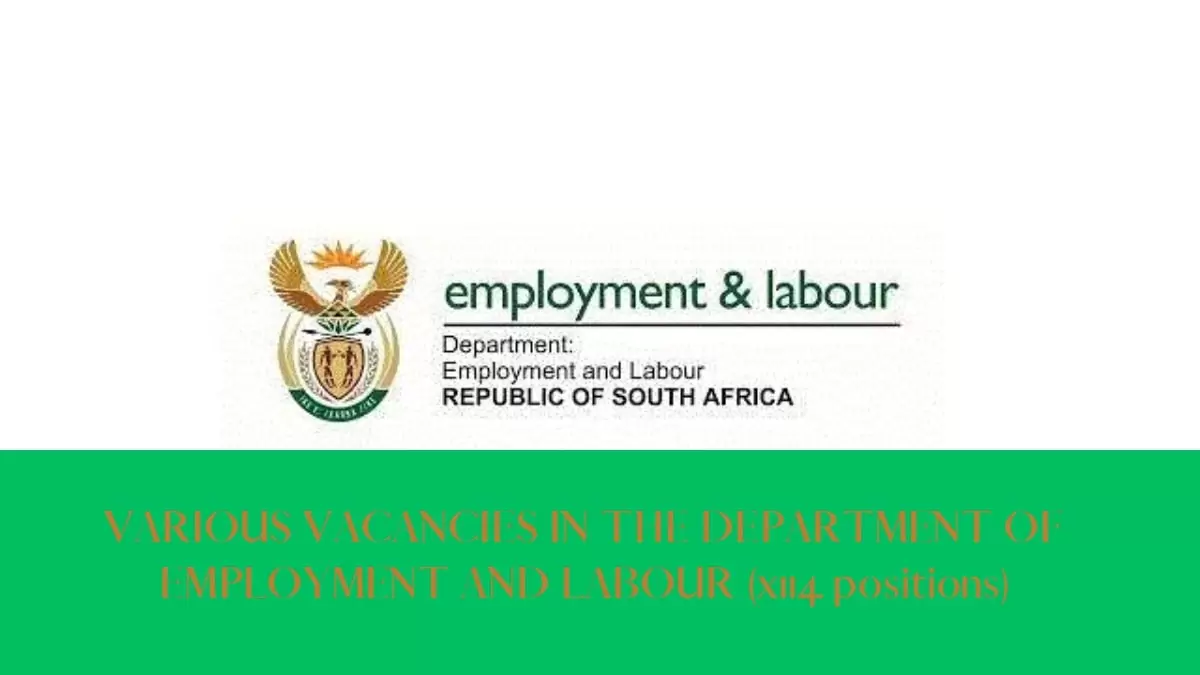 VARIOUS VACANCIES IN THE DEPARTMENT OF EMPLOYMENT AND LABOUR (x114 positions)