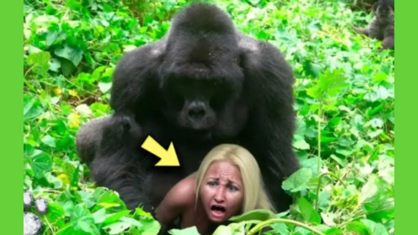 See what a Gorilla did to a Tourist in the Jungle that shocked the World