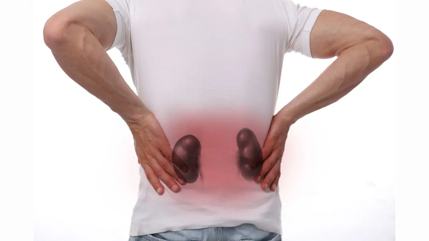 Here Are List Of 4 Drinks That Can Harm Your Kidneys